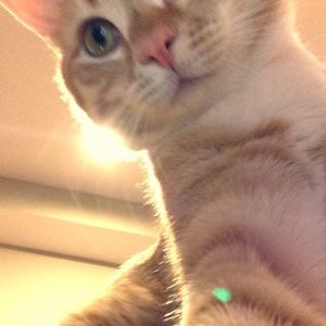 Meet your Posher, Vicki